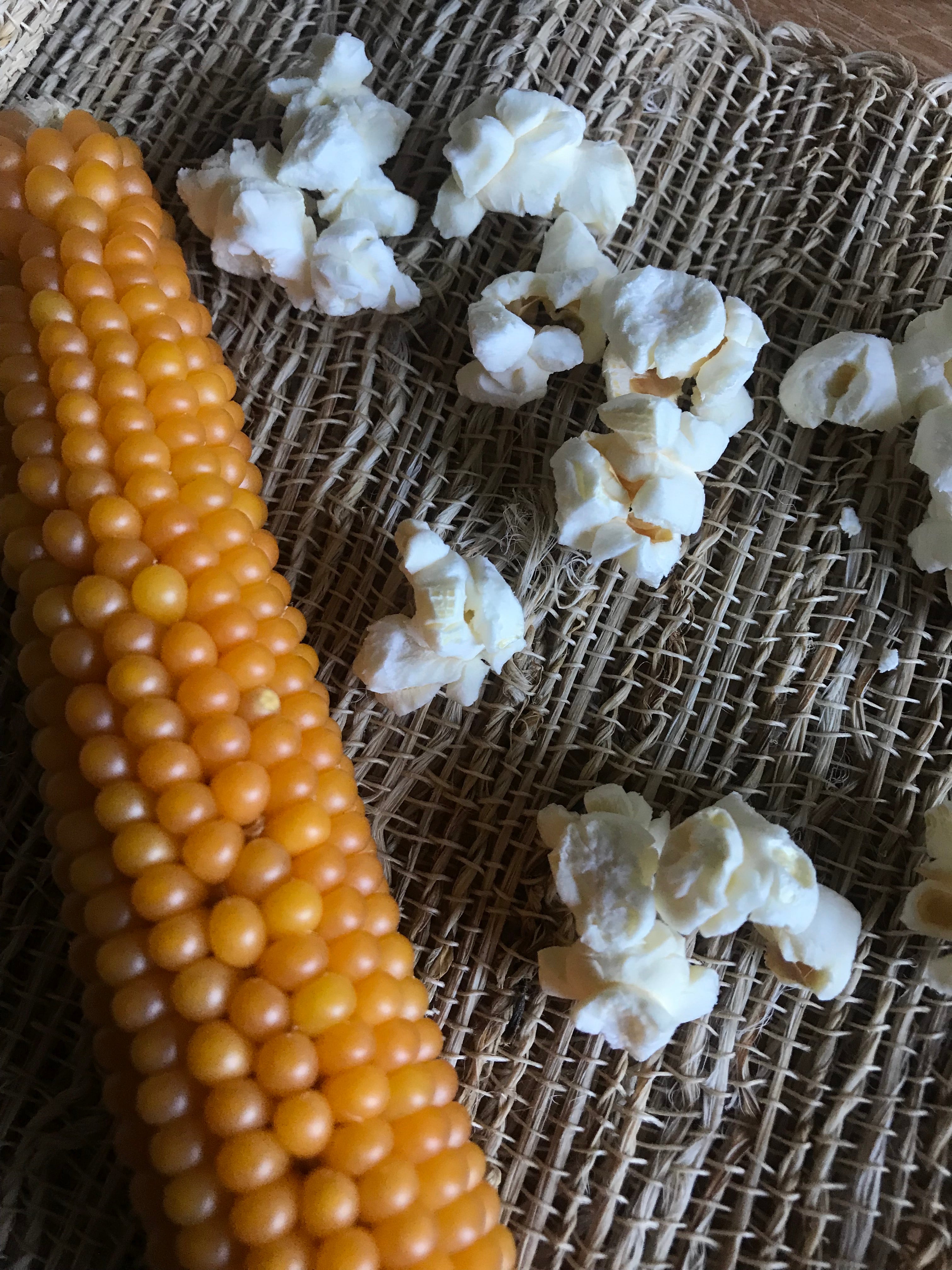 Popping Ear, individual