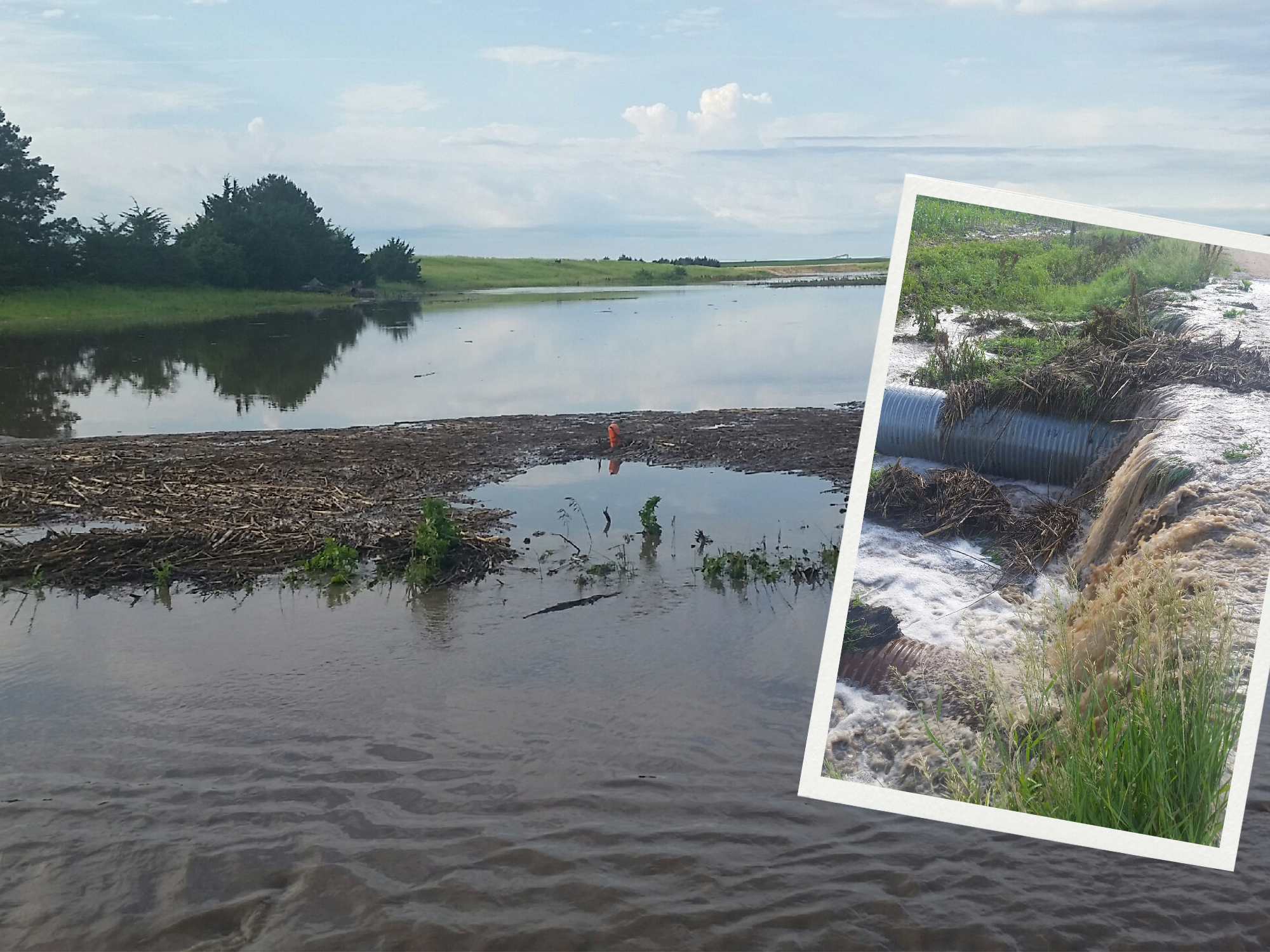 May Farm Foe: Too Much Rain… or Not Enough