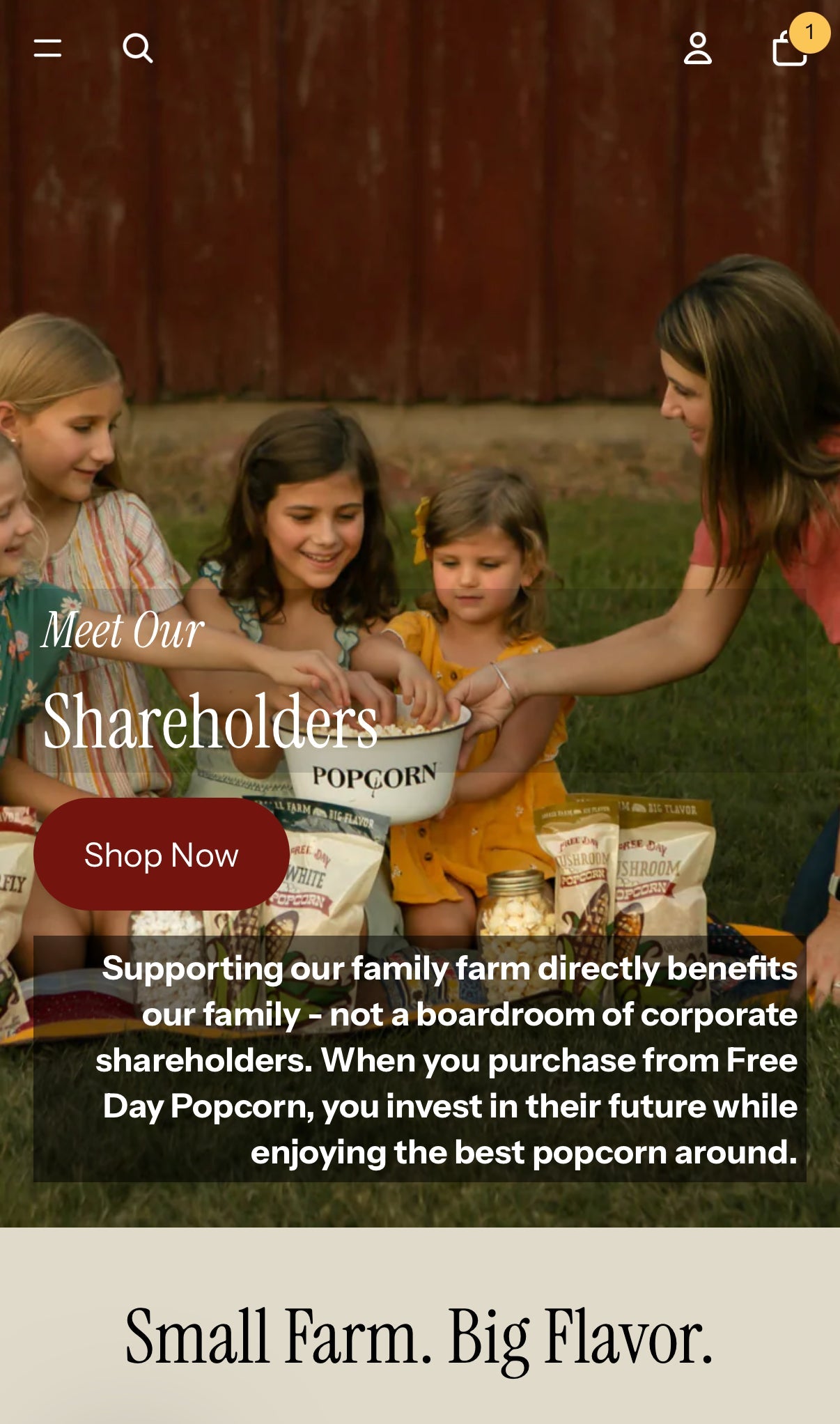 🎉 Our Website Got a Makeover — And You Get 15% Off to Celebrate!