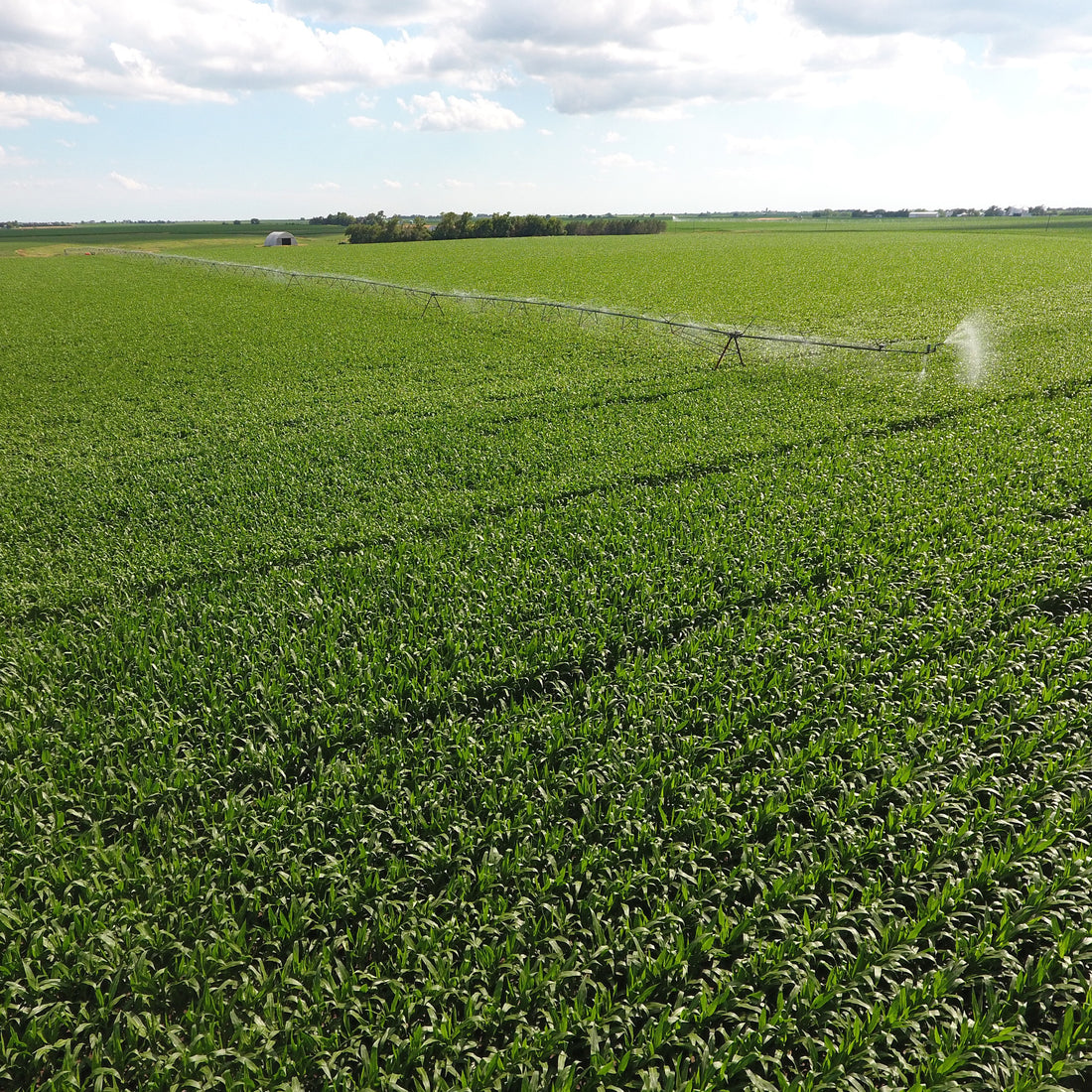 Irrigation season has arrived