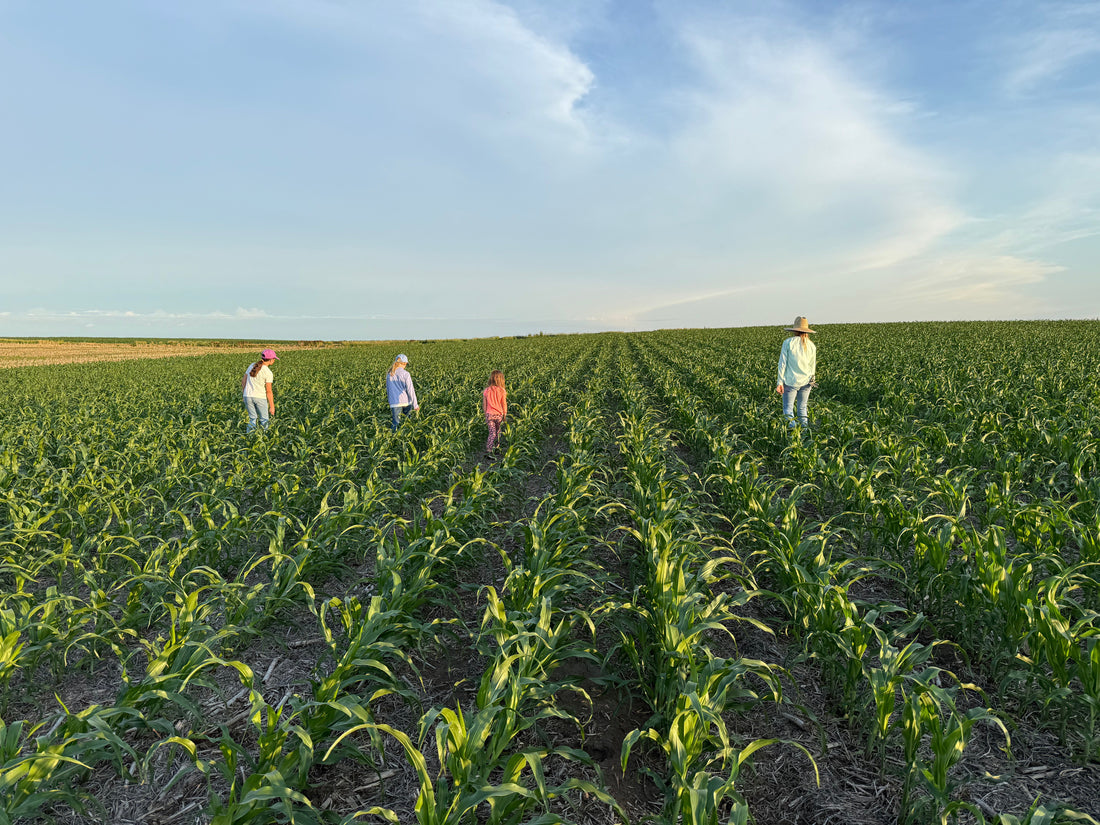 June Farm Foe: The Battle Against Weeds