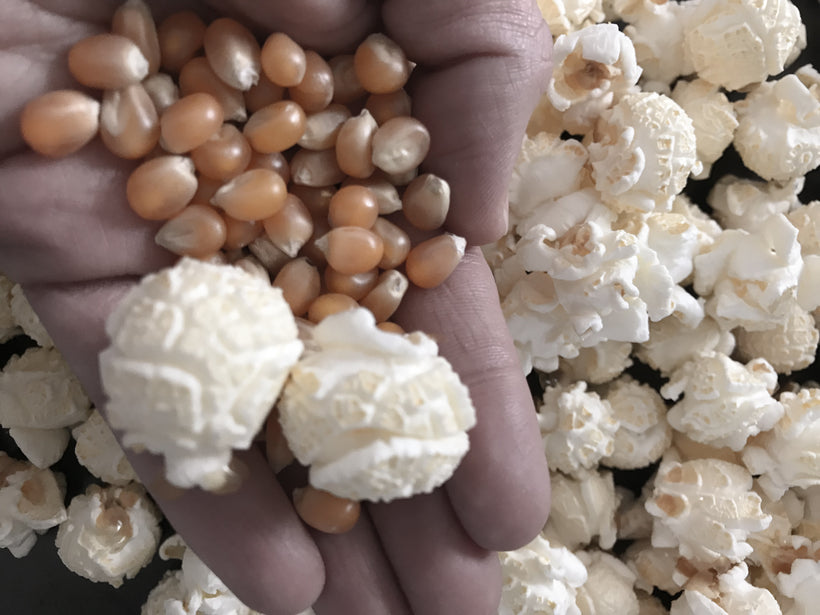 Omega Mushroom™ Popcorn