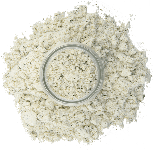 Taylor Street Garlic & Herb | 2.5 oz jar