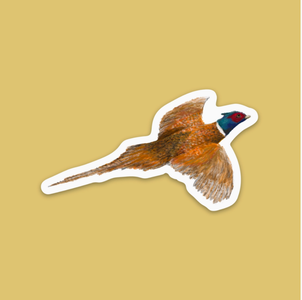 Pheasant Flying Sticker | Kevin & Kaia