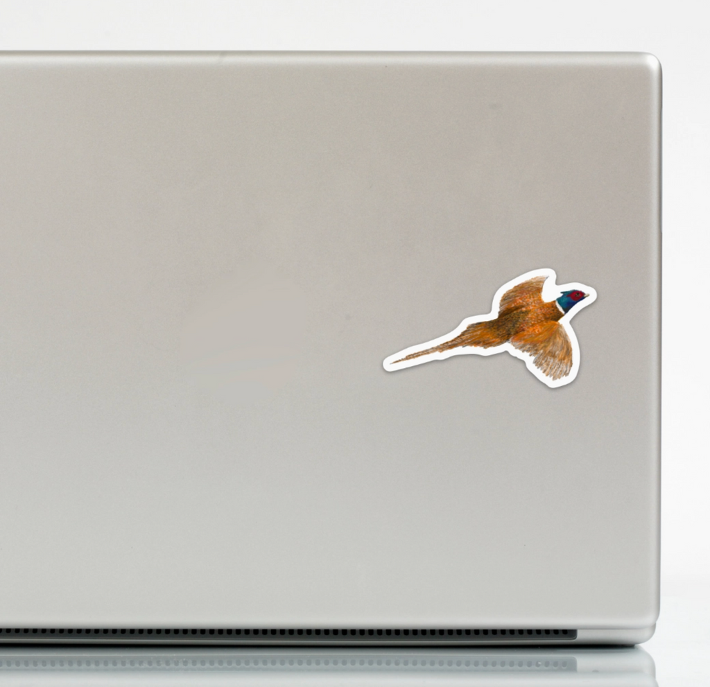Pheasant Flying Sticker | Kevin & Kaia