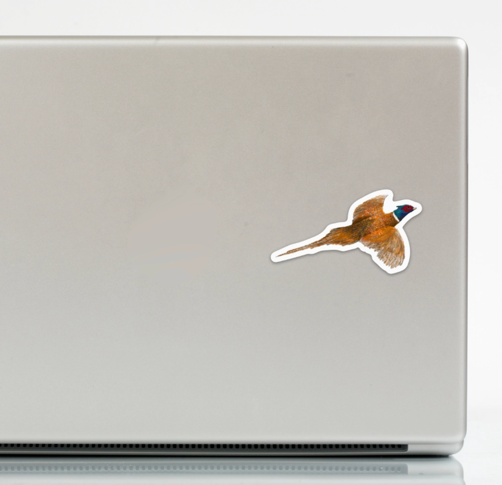 Pheasant Flying Sticker | Kevin & Kaia
