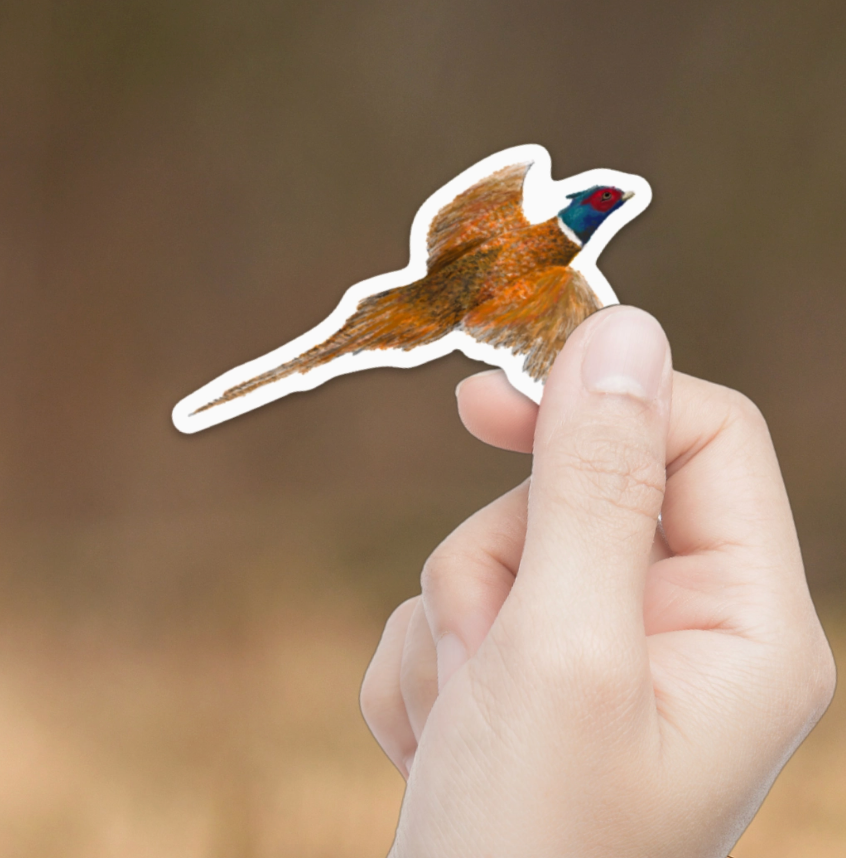 Pheasant Flying Sticker | Kevin & Kaia