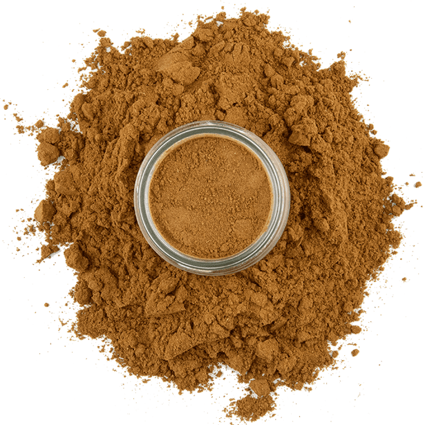 Pumpkin Spice | 2.2 oz jar | The Spice House