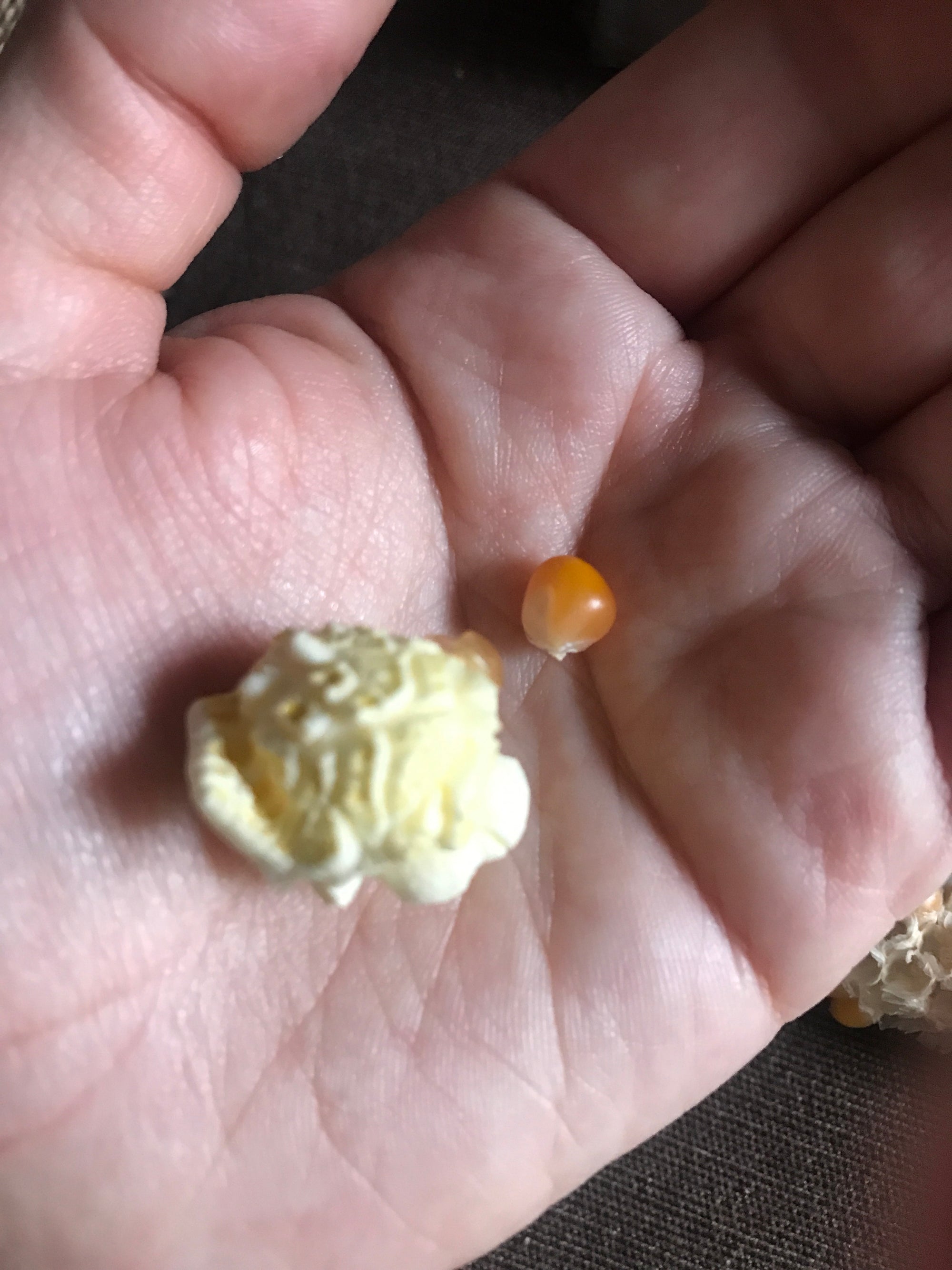 Omega Mushroom™, 50 lb bag