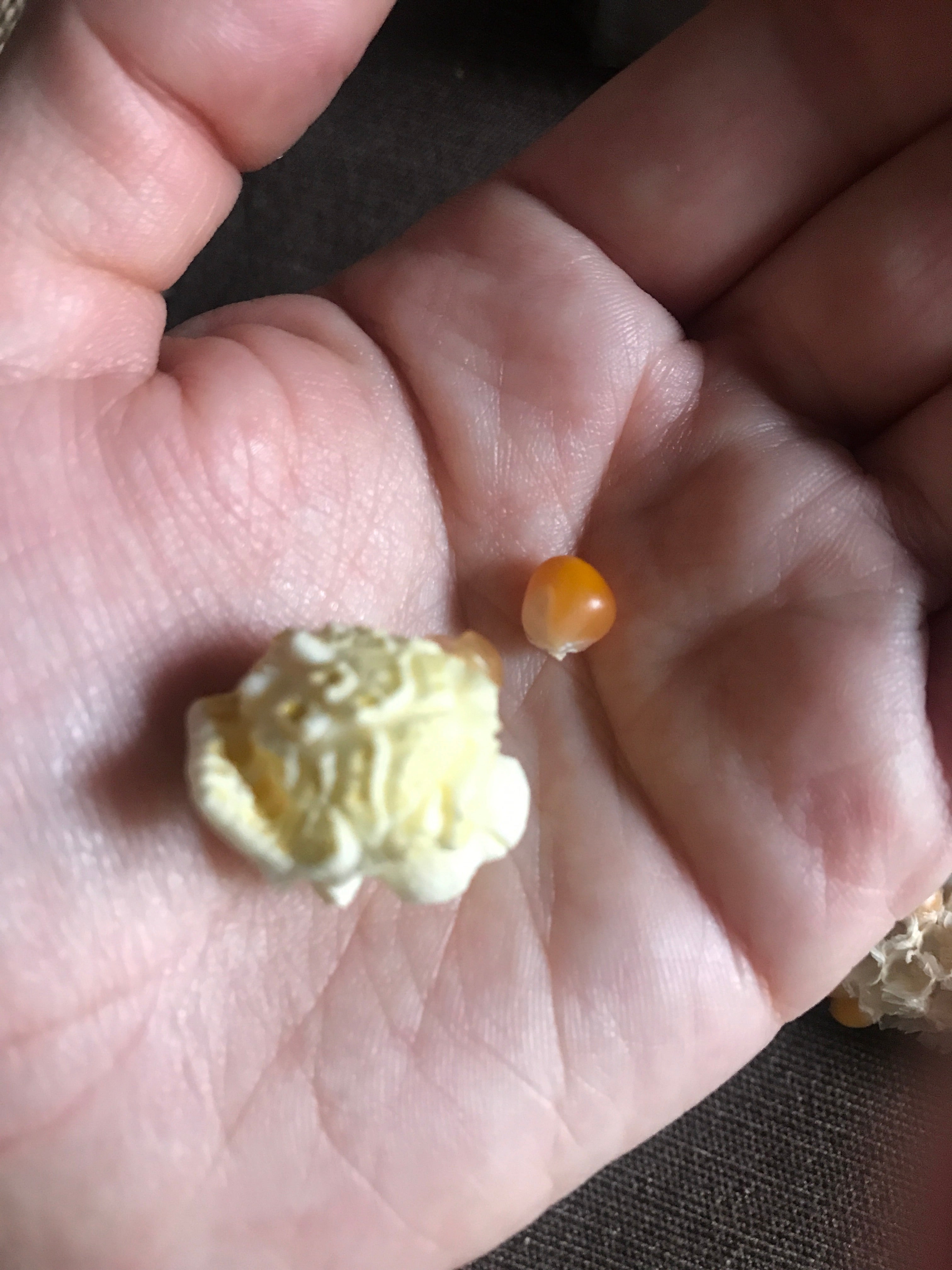 Omega Mushroom™, 50 lb bag